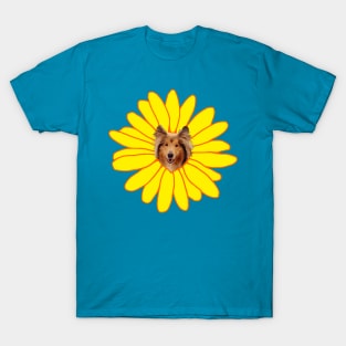 Jolly Collie Yellow Sunflower Blossom T-Shirt